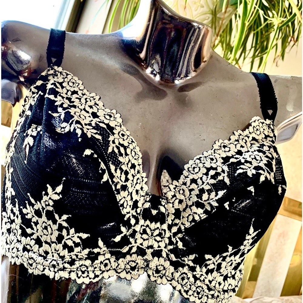 NWT Wacoal French Lace Bra 34DD (USA/UK)